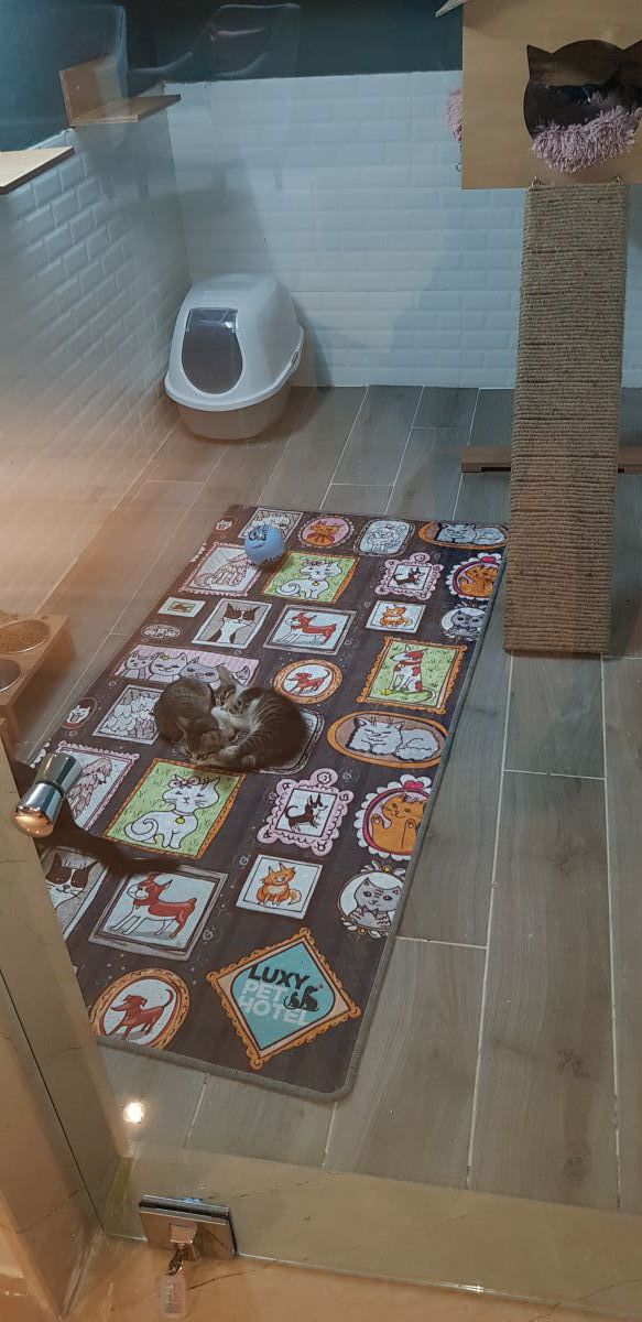 imagini hotel NIRVANA LARA